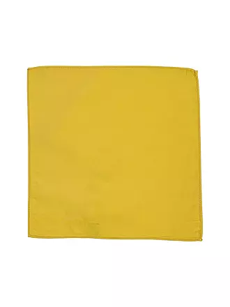 SEIDENFALTER | Pochette de costume | gelb